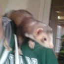 Avatar de l’utilisateur