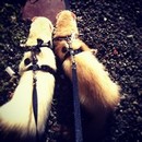 Avatar de l’utilisateur