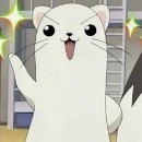 Avatar de l’utilisateur